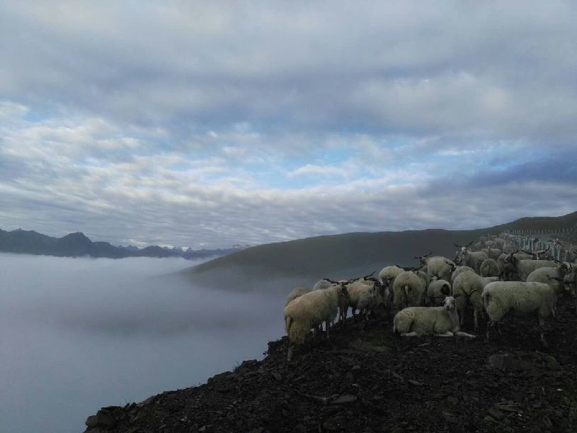 国】达瓦更扎看云海不朽情缘版【大美中(图2)