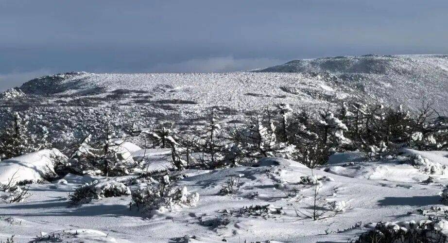 早知道丨户外徒步事故频发不朽情缘试玩版新业态风险(图5)